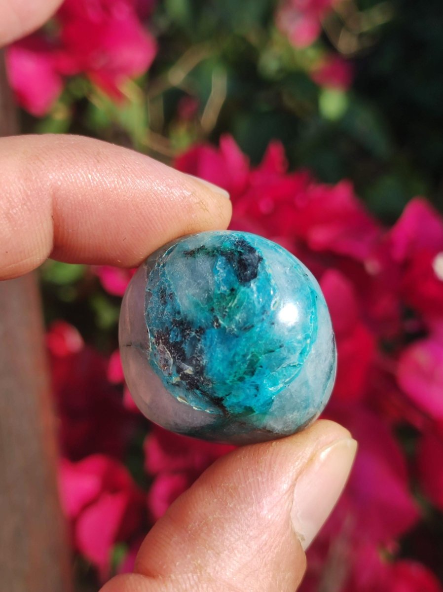 AAA Quantum Quattro Chrysocoll Shattuckit Quarz Azurit blau Natur Heilstein Meditation Ritual Indianer Schamanen Edelstein Mineral Sammler - Art of Nature Berlin