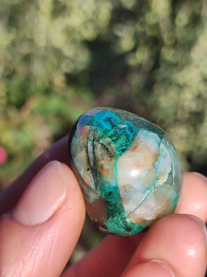 AAA Quantum Quattro Chrysocoll Shattuckit Quarz Azurit blau Natur Heilstein Meditation Ritual Indianer Schamanen Edelstein Mineral Sammler - Art of Nature Berlin