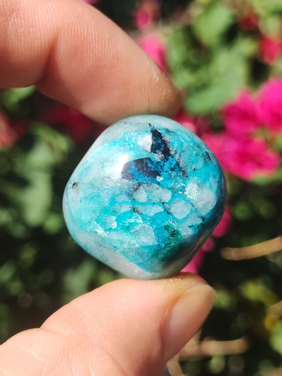 AAA Quantum Quattro Chrysocoll Shattuckit Quarz Azurit blau Natur Heilstein Meditation Ritual Indianer Schamanen Edelstein Mineral Sammler - Art of Nature Berlin