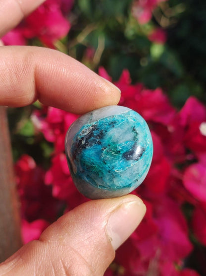 AAA Quantum Quattro Chrysocoll Shattuckit Quarz Azurit blau Natur Heilstein Meditation Ritual Indianer Schamanen Edelstein Mineral Sammler - Art of Nature Berlin