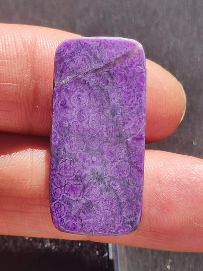 AAA Sugilith 100% Natürlicher GEL Sugilite Cabochon Sammler Mineral hochwertig edel Geldanlage Investition Heilstein Rarität Unikat - Art of Nature Berlin