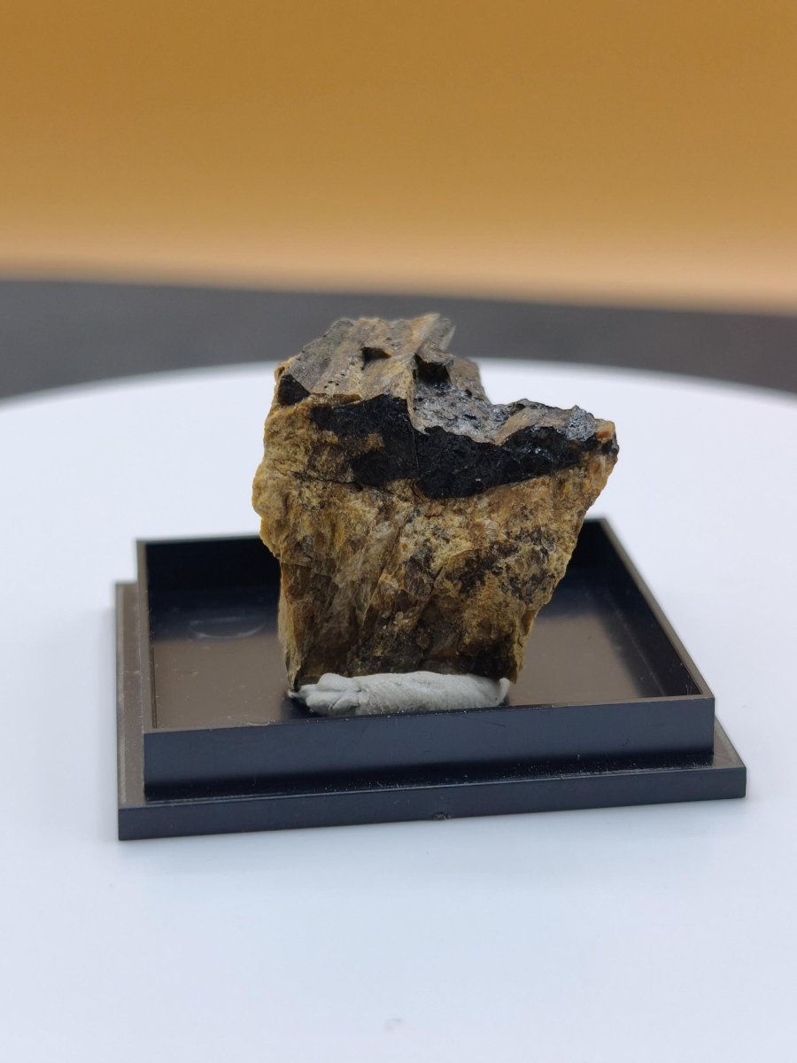 Åskagenit-(Nd) – Ästhetische Rarität Kristallstufe auf Matrix | Grube Bayerland, Deutschland Sammlerstufe Kristall Stufe Mineral - Art of Nature Berlin