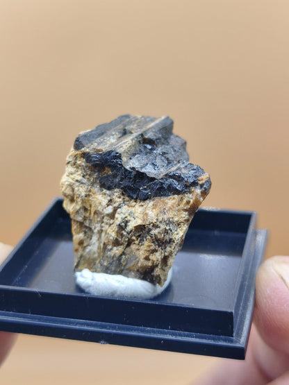 Åskagenit-(Nd) – Ästhetische Rarität Kristallstufe auf Matrix | Grube Bayerland, Deutschland Sammlerstufe Kristall Stufe Mineral - Art of Nature Berlin