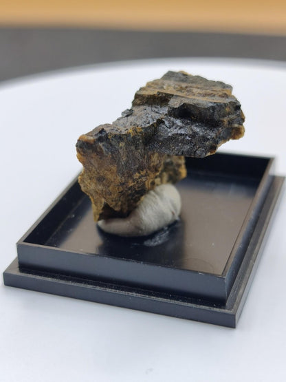 Åskagenit-(Nd) – Ästhetische Rarität Kristallstufe auf Matrix | Grube Bayerland, Deutschland Sammlerstufe Kristall Stufe Mineral - Art of Nature Berlin
