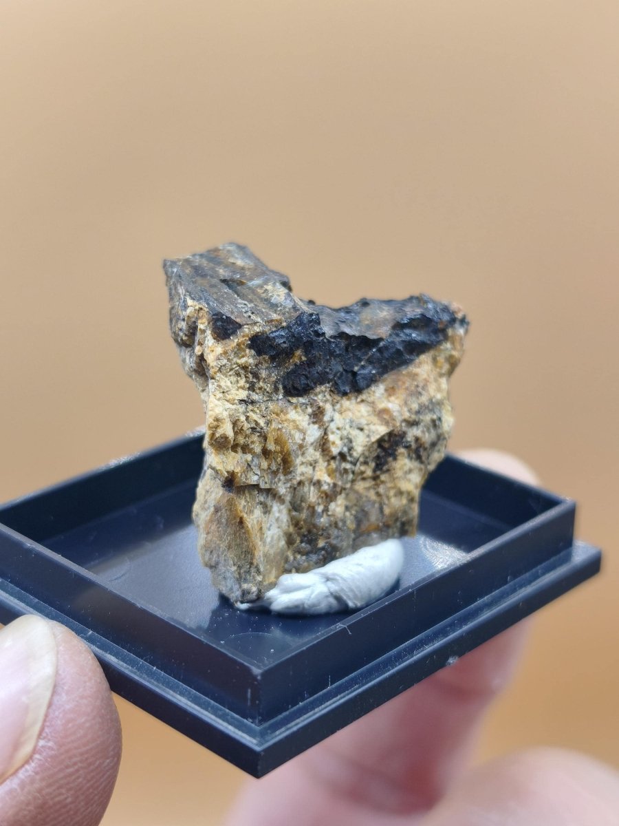 Åskagenit-(Nd) – Ästhetische Rarität Kristallstufe auf Matrix | Grube Bayerland, Deutschland Sammlerstufe Kristall Stufe Mineral - Art of Nature Berlin