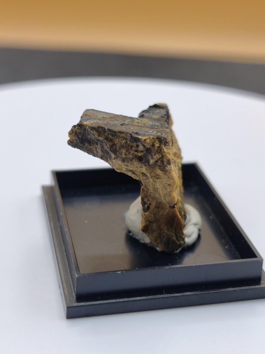 Åskagenit-(Nd) – Ästhetische Rarität Kristallstufe auf Matrix | Grube Bayerland, Deutschland Sammlerstufe Kristall Stufe Mineral - Art of Nature Berlin