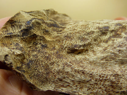 Adlerholz * Agarwood * Aloeswood * Gharuwood * (TWO TYPES! Oud 1/2/4 g A Quality* Vietnam Räuchern Schamanen Rarität Set Smudge Weihrauch - Art of Nature Berlin