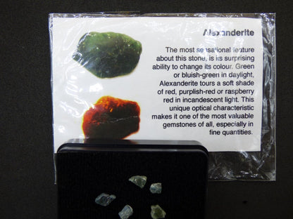 Alexandrite ECHT Sammler Rarität Kollektion Dekostein Heilstein Energie Edelstein Trommelstein Kristall Mineral Natur Geschenk Er Sie Mann - Art of Nature Berlin