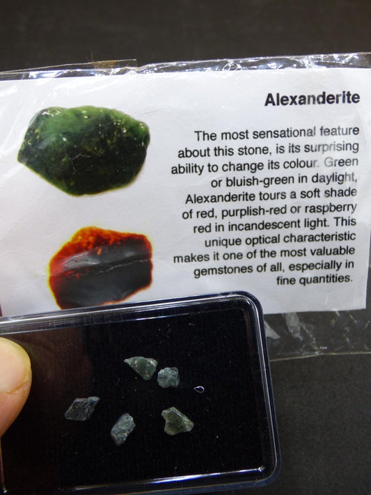 Alexandrite ECHT Sammler Rarität Kollektion Dekostein Heilstein Energie Edelstein Trommelstein Kristall Mineral Natur Geschenk Er Sie Mann - Art of Nature Berlin