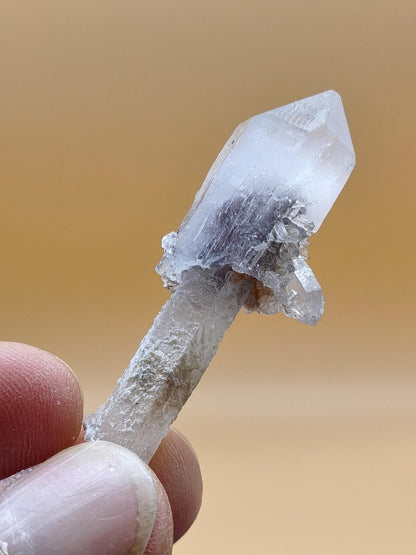 Amethyst-Zepterquarz mit naturbelassenem Stiel & Begleitkristallen – Erongo Namibia | Sammlerstufe Roh Kristalle Unikat Mineralien Geschenk - Art of Nature Berlin