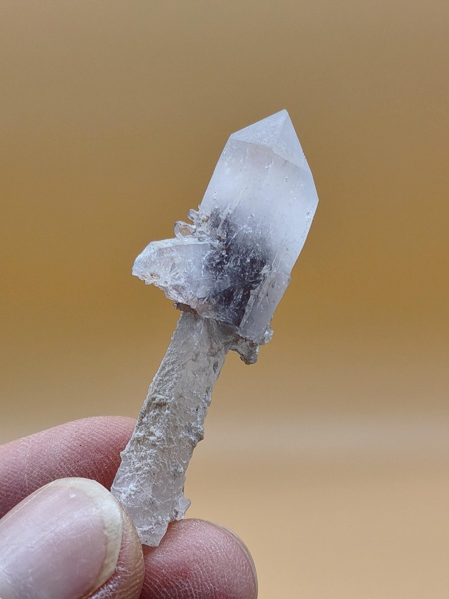 Amethyst-Zepterquarz mit naturbelassenem Stiel & Begleitkristallen – Erongo Namibia | Sammlerstufe Roh Kristalle Unikat Mineralien Geschenk - Art of Nature Berlin
