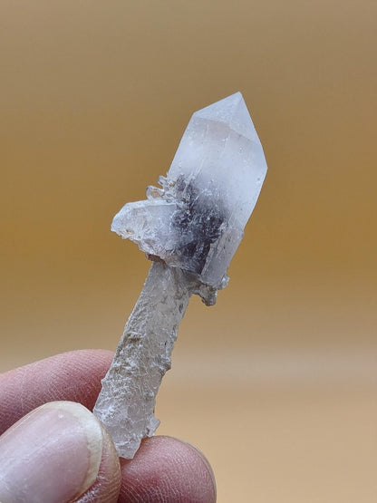 Amethyst-Zepterquarz mit naturbelassenem Stiel & Begleitkristallen – Erongo Namibia | Sammlerstufe Roh Kristalle Unikat Mineralien Geschenk - Art of Nature Berlin