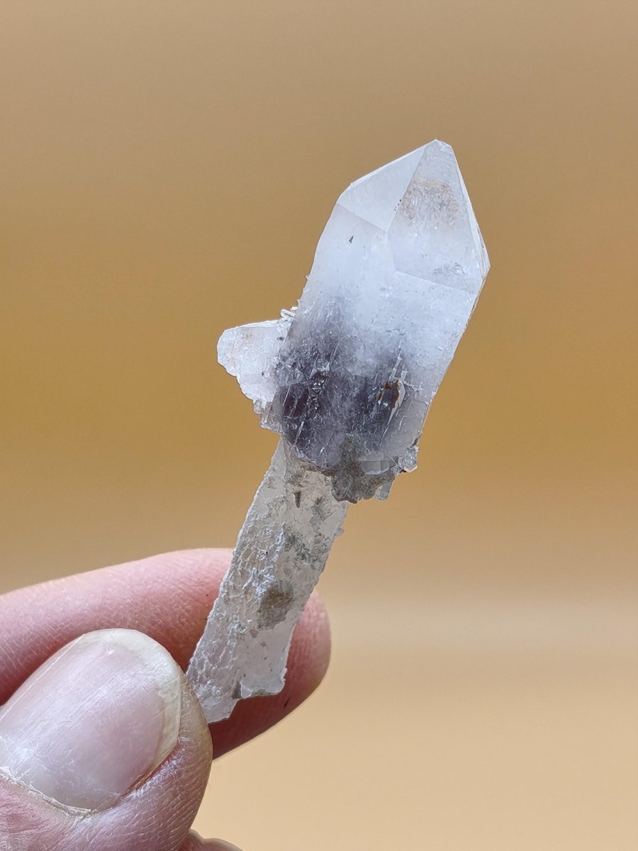 Amethyst-Zepterquarz mit naturbelassenem Stiel & Begleitkristallen – Erongo Namibia | Sammlerstufe Roh Kristalle Unikat Mineralien Geschenk - Art of Nature Berlin
