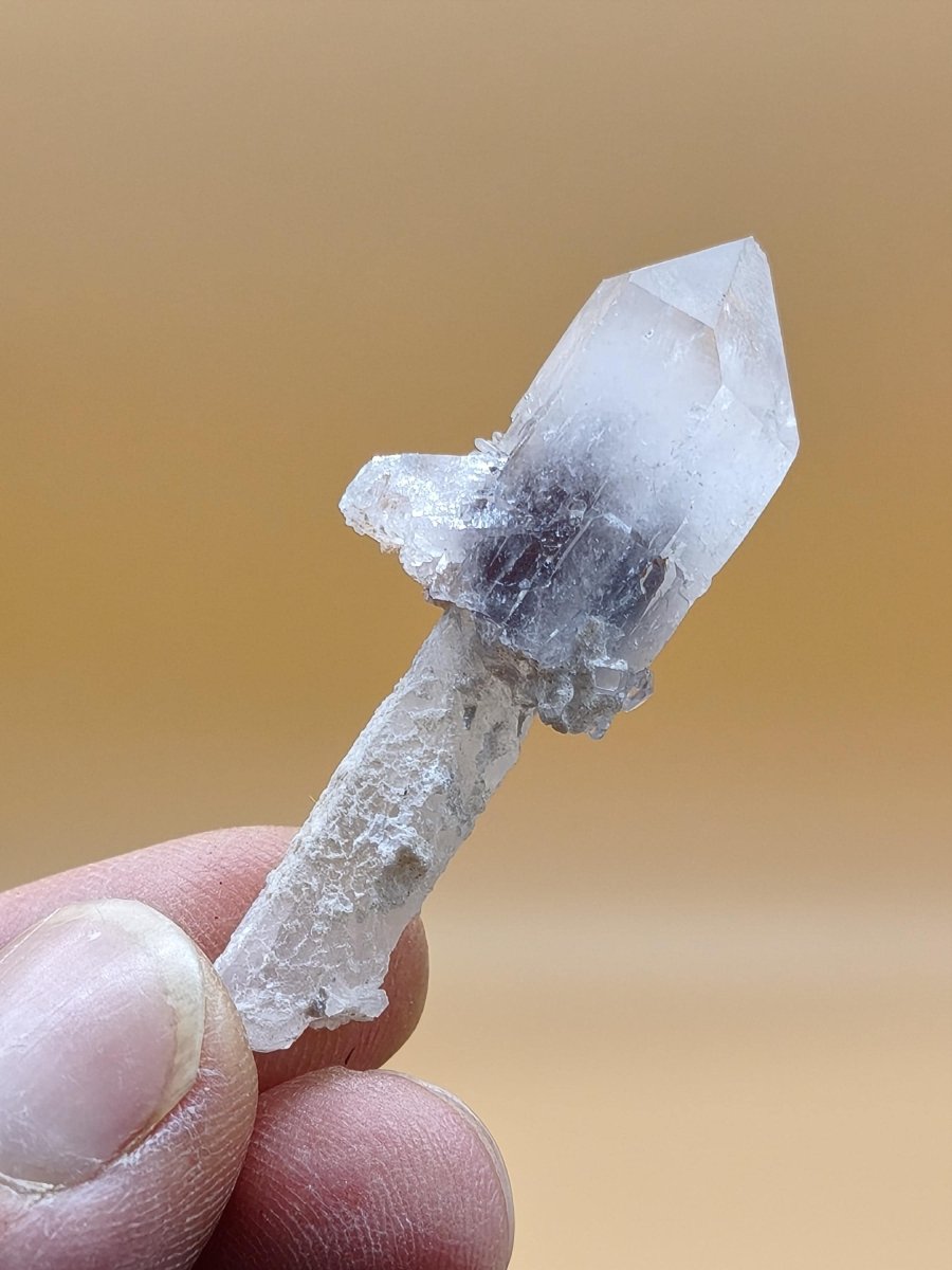 Amethyst-Zepterquarz mit naturbelassenem Stiel & Begleitkristallen – Erongo Namibia | Sammlerstufe Roh Kristalle Unikat Mineralien Geschenk - Art of Nature Berlin