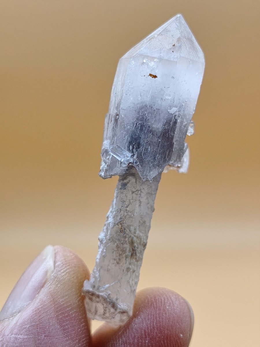 Amethyst-Zepterquarz mit naturbelassenem Stiel & Begleitkristallen – Erongo Namibia | Sammlerstufe Roh Kristalle Unikat Mineralien Geschenk - Art of Nature Berlin