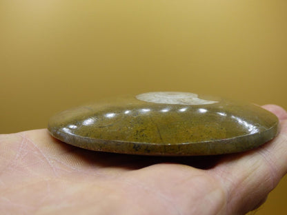 Ammonit & Orthoceras Fossil ~ Deko Platte Scheibe Stufe Schnecke großes Dekostück ~HIPPIE ~GOA ~Boho ~Ethno ~Nature ~Heilstein Heim Stein - Art of Nature Berlin