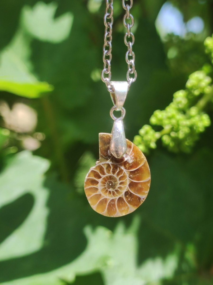 Ammonite Schnecke ~ 925 Sterling Silber ~ Anhänger Kette ~HIPPIE ~GOA ~Boho ~Ethno ~Nature ~Heilstein ~Fossil ~Spirale - Art of Nature Berlin