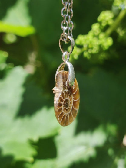 Ammonite Schnecke ~ 925 Sterling Silber ~ Anhänger Kette ~HIPPIE ~GOA ~Boho ~Ethno ~Nature ~Heilstein ~Fossil ~Spirale - Art of Nature Berlin