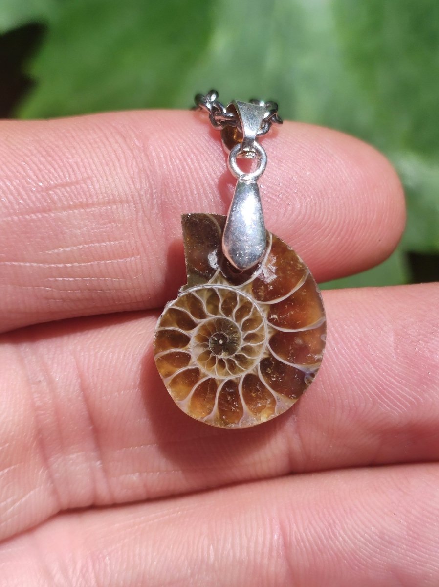 Ammonite Schnecke ~ 925 Sterling Silber ~ Anhänger Kette ~HIPPIE ~GOA ~Boho ~Ethno ~Nature ~Heilstein ~Fossil ~Spirale - Art of Nature Berlin