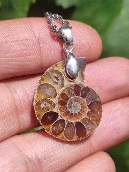 Ammonite Schnecke ~ 925 Sterling Silber ~ Anhänger Kette ~HIPPIE ~GOA ~Boho ~Ethno ~Nature ~Heilstein ~Fossil ~Spirale - Art of Nature Berlin