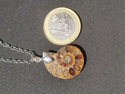 Ammonite Schnecke ~ 925 Sterling Silber ~ Anhänger Kette ~HIPPIE ~GOA ~Boho ~Ethno ~Nature ~Heilstein ~Fossil ~Spirale - Art of Nature Berlin