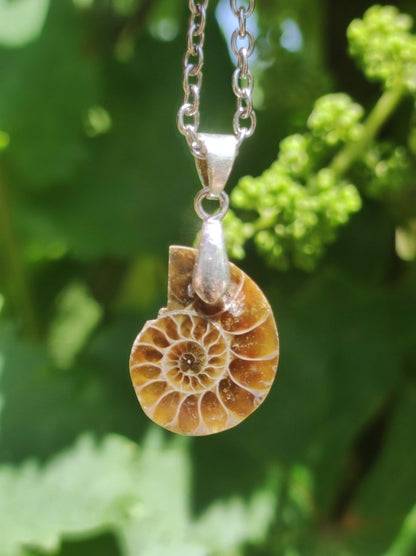 Ammonite Schnecke ~ 925 Sterling Silber ~ Anhänger Kette ~HIPPIE ~GOA ~Boho ~Ethno ~Nature ~Heilstein ~Fossil ~Spirale - Art of Nature Berlin