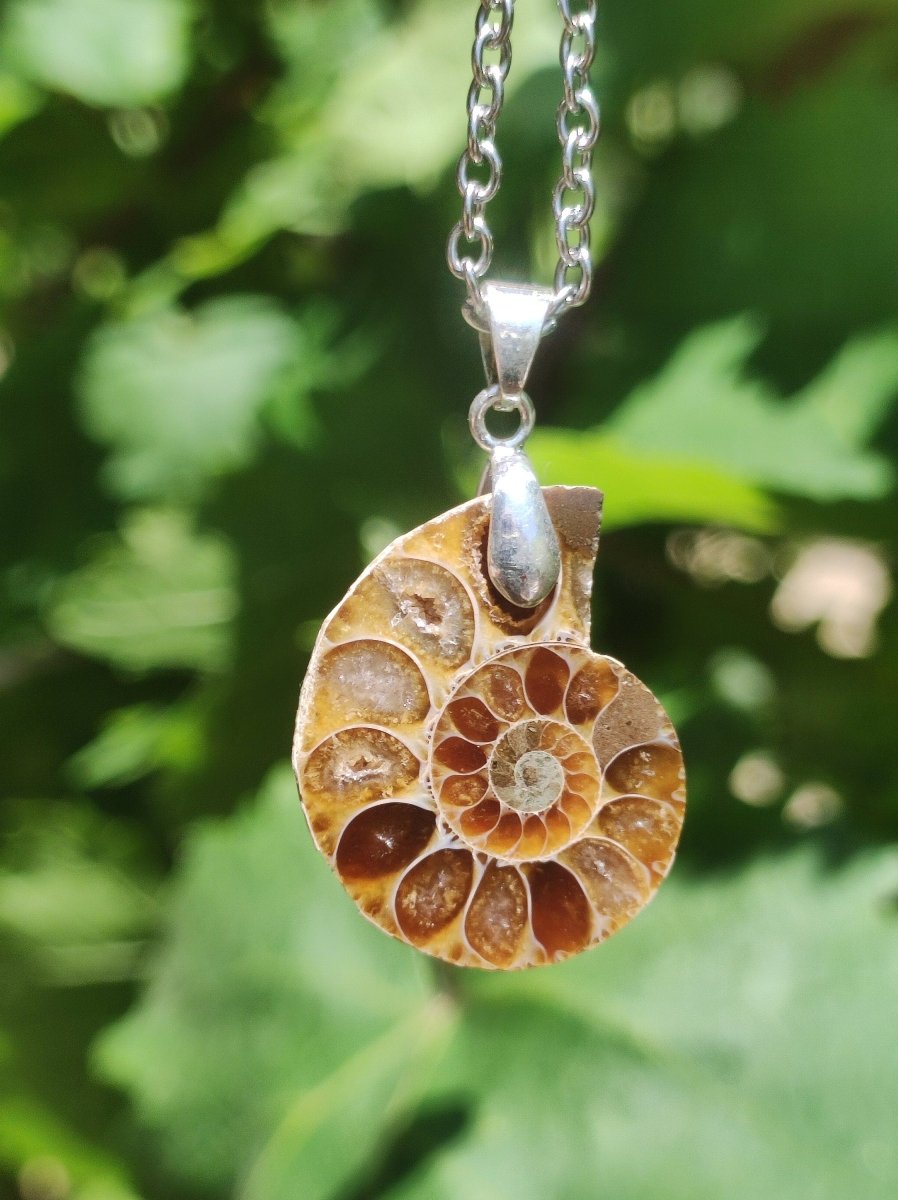 Ammonite Schnecke ~ 925 Sterling Silber ~ Anhänger Kette ~HIPPIE ~GOA ~Boho ~Ethno ~Nature ~Heilstein ~Fossil ~Spirale - Art of Nature Berlin