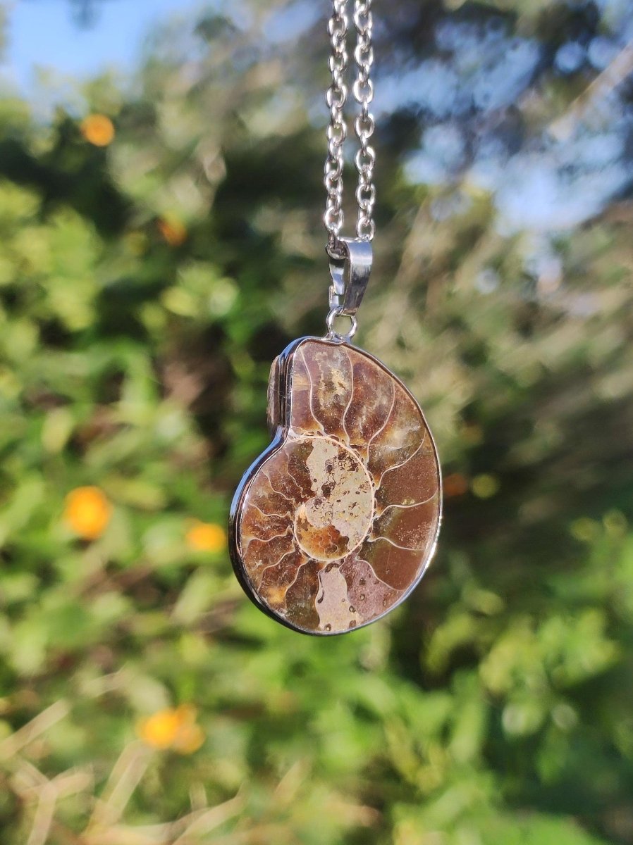 Ammonite Schnecke ~ Anhänger Kette ~HIPPIE ~GOA ~Boho ~Ethno ~Nature ~Heilstein ~Fossil ~Spirale - Art of Nature Berlin