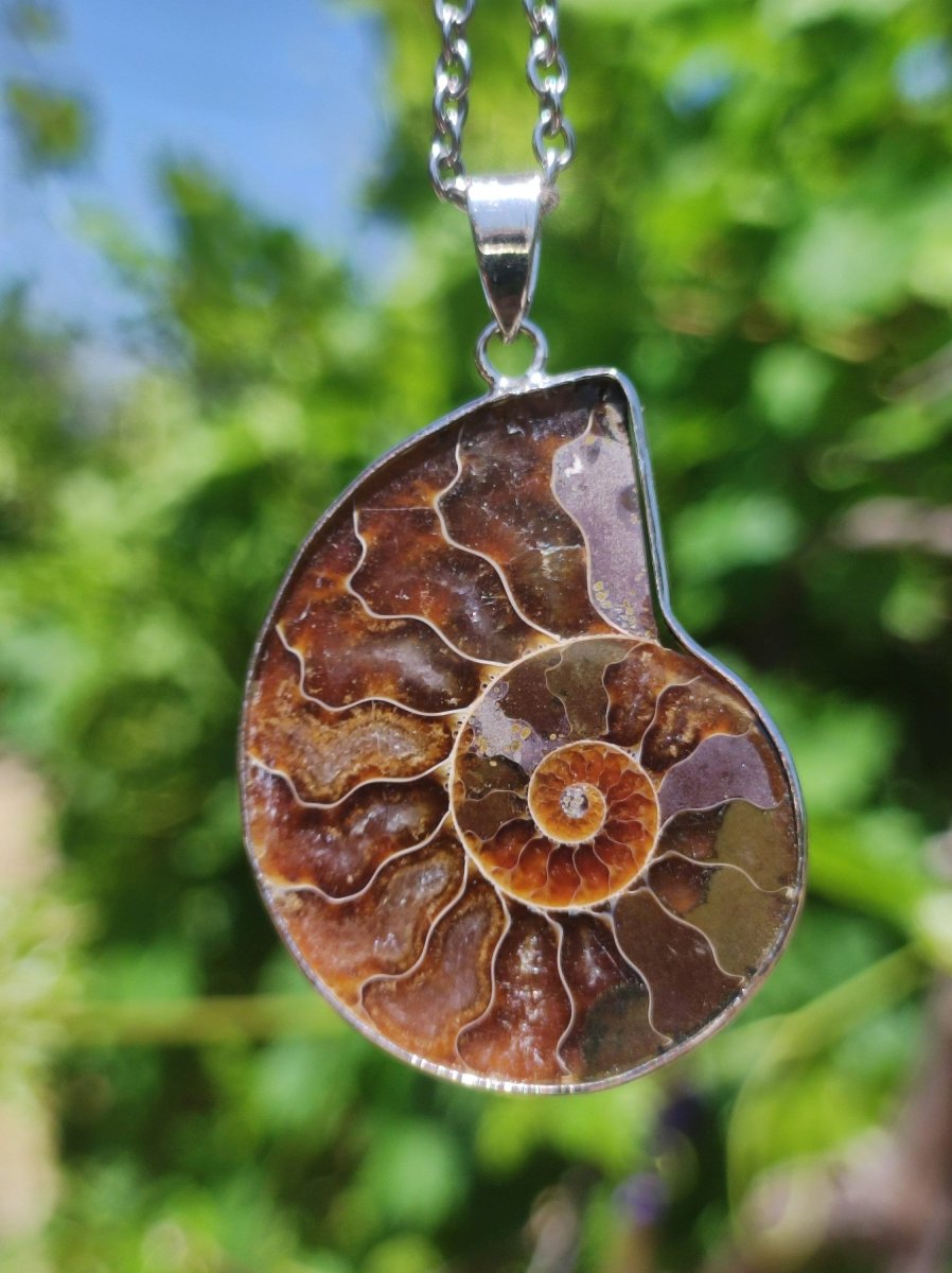 Ammonite Schnecke ~ Anhänger Kette ~HIPPIE ~GOA ~Boho ~Ethno ~Nature ~Heilstein ~Fossil ~Spirale - Art of Nature Berlin