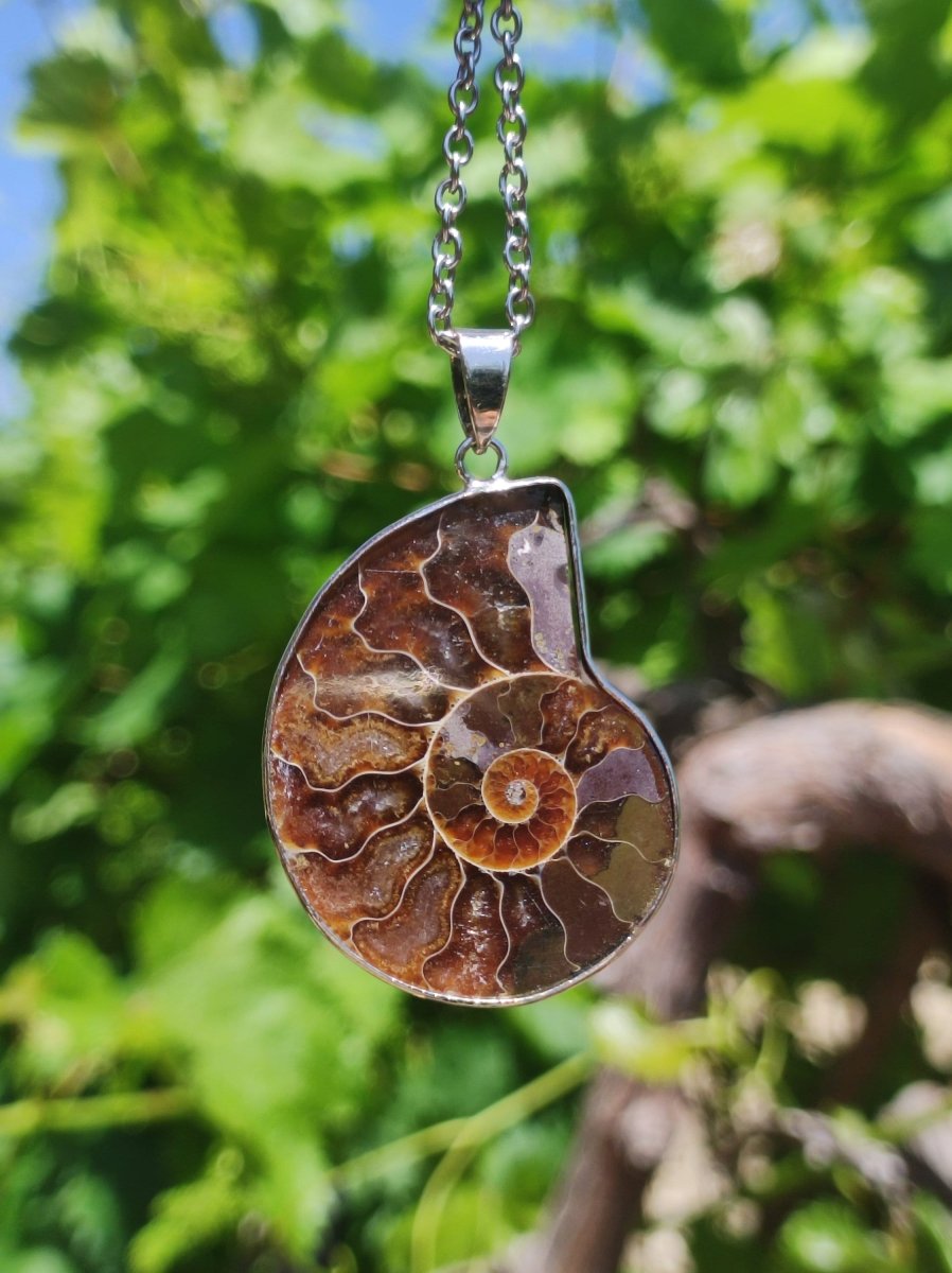 Ammonite Schnecke ~ Anhänger Kette ~HIPPIE ~GOA ~Boho ~Ethno ~Nature ~Heilstein ~Fossil ~Spirale - Art of Nature Berlin