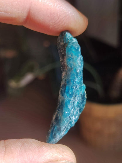 Apatit blau Stufe A Roh Auf+Entladen Edelsteine Wasserstein Trinkwasser Edelsteinwasser Chakra Heilstein Naturmedizin Energiewasser - Art of Nature Berlin