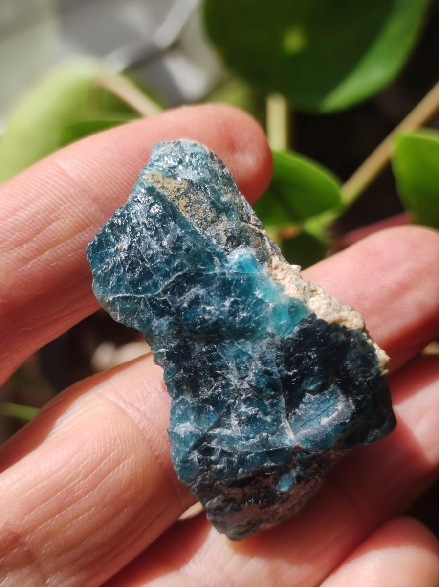 Apatit blau Stufe A Roh Auf+Entladen Edelsteine Wasserstein Trinkwasser Edelsteinwasser Chakra Heilstein Naturmedizin Energiewasser - Art of Nature Berlin