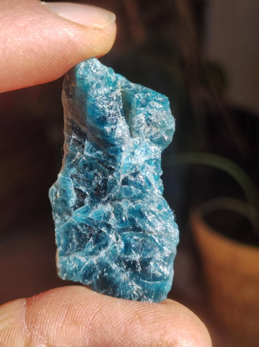 Apatit blau Stufe A Roh Auf+Entladen Edelsteine Wasserstein Trinkwasser Edelsteinwasser Chakra Heilstein Naturmedizin Energiewasser - Art of Nature Berlin