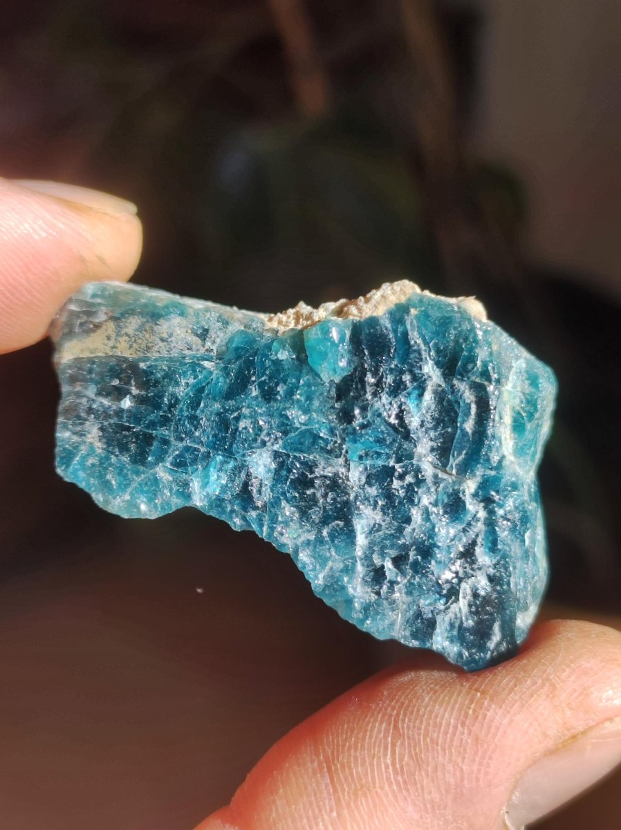 Apatit blau Stufe A Roh Auf+Entladen Edelsteine Wasserstein Trinkwasser Edelsteinwasser Chakra Heilstein Naturmedizin Energiewasser - Art of Nature Berlin