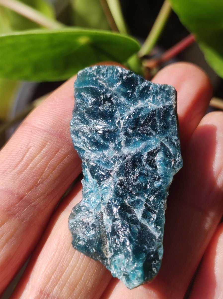 Apatit blau Stufe A Roh Auf+Entladen Edelsteine Wasserstein Trinkwasser Edelsteinwasser Chakra Heilstein Naturmedizin Energiewasser - Art of Nature Berlin