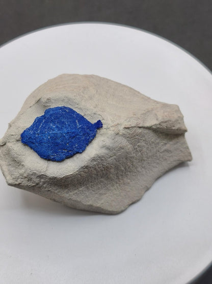 Azurit-Sonnen auf heller Matrix - intensiv blaue Mineralstufe 87 × 63 mm Edelstein Mineral Natur Energie Heilstein Groß Unikat Rarität - Art of Nature Berlin