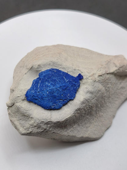 Azurit-Sonnen auf heller Matrix - intensiv blaue Mineralstufe 87 × 63 mm Edelstein Mineral Natur Energie Heilstein Groß Unikat Rarität - Art of Nature Berlin