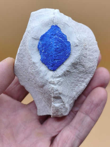 Azurit-Sonnen auf heller Matrix - intensiv blaue Mineralstufe 87 × 63 mm Edelstein Mineral Natur Energie Heilstein Groß Unikat Rarität - Art of Nature Berlin