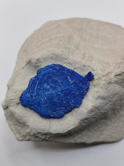 Azurit-Sonnen auf heller Matrix - intensiv blaue Mineralstufe 87 × 63 mm Edelstein Mineral Natur Energie Heilstein Groß Unikat Rarität - Art of Nature Berlin