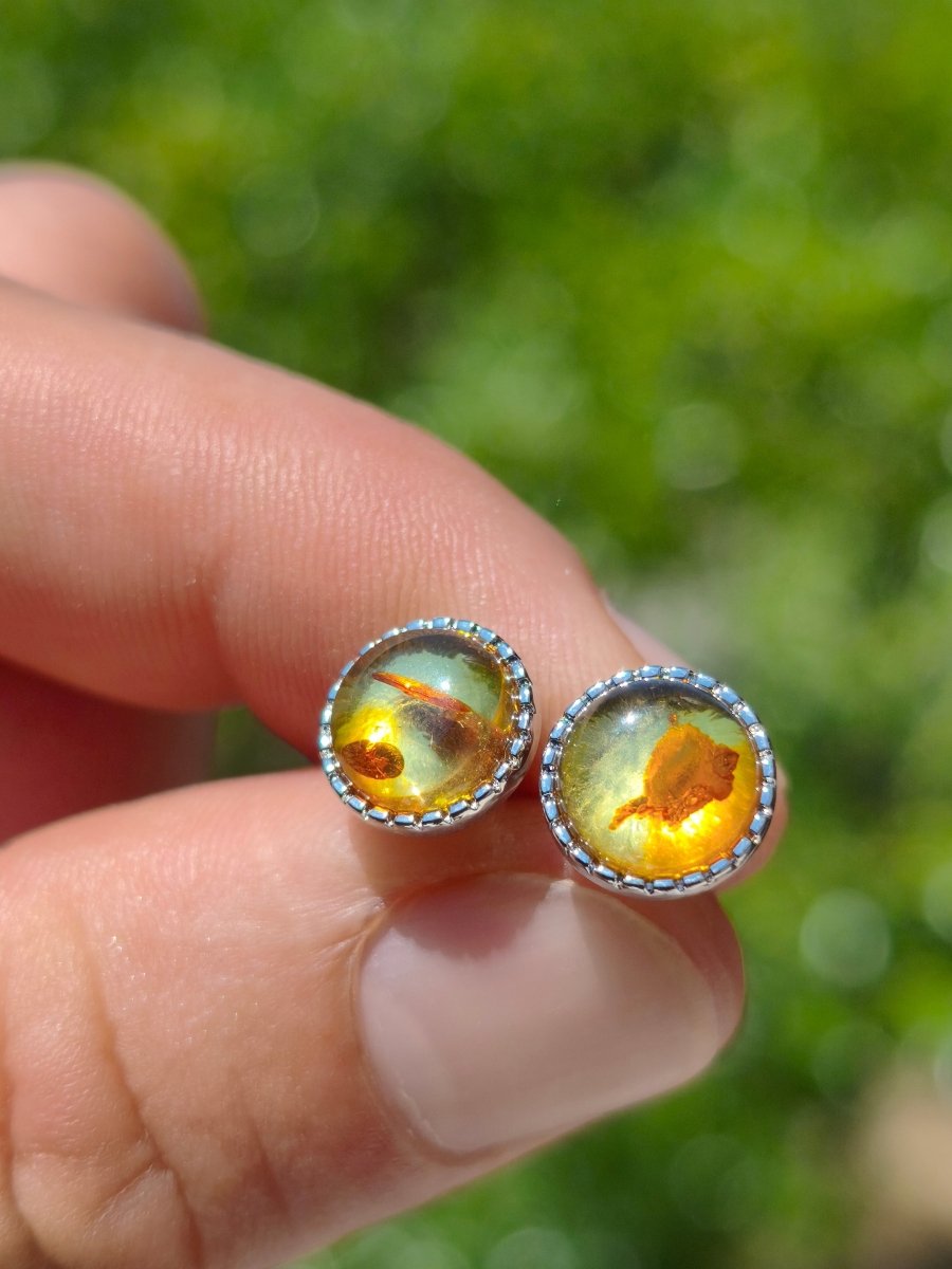 Bernstein AAA - Ohrstecker 925 Sterling Silber Rarität Schmuck Frau Ohrringe Edelstein Heilstein Geschenk Schmuck Edel Selten Unikat (Kopie) - Art of Nature Berlin