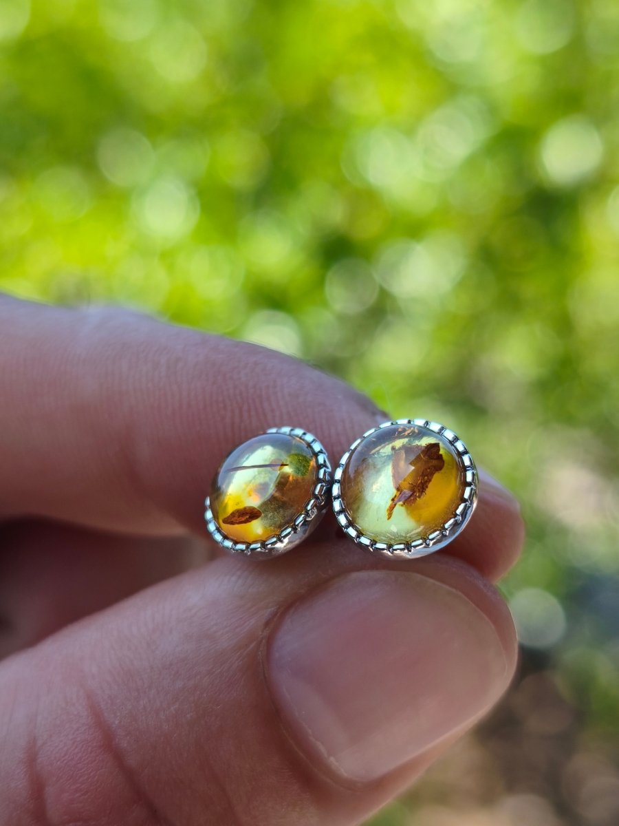 Bernstein AAA - Ohrstecker 925 Sterling Silber Rarität Schmuck Frau Ohrringe Edelstein Heilstein Geschenk Schmuck Edel Selten Unikat (Kopie) - Art of Nature Berlin