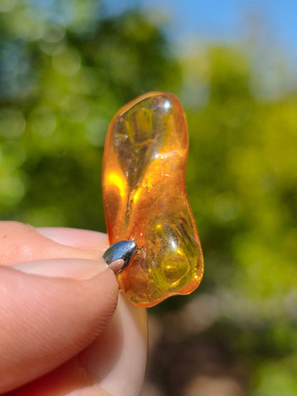 Bernstein (Baltikum) natürlich golden - 925 Sterling Silber - Edelstein Kette Geschenk Mann Frau Er Sie Freundin Filigran (Kopie) (Kopie) (Kopie) (Kopie) (Kopie) - Art of Nature Berlin