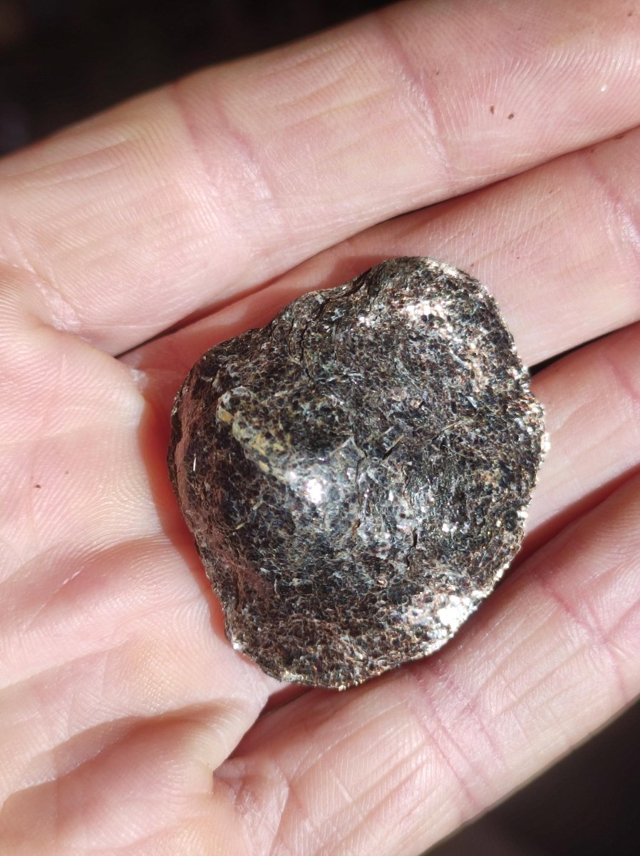 Biotit Linse - Deko Heilstein Edelstein braun schimmer Natur Geschenk Er Sie Mann Frau Freund Rarität Kraft Energie Kraft Chakra Rarität - Art of Nature Berlin