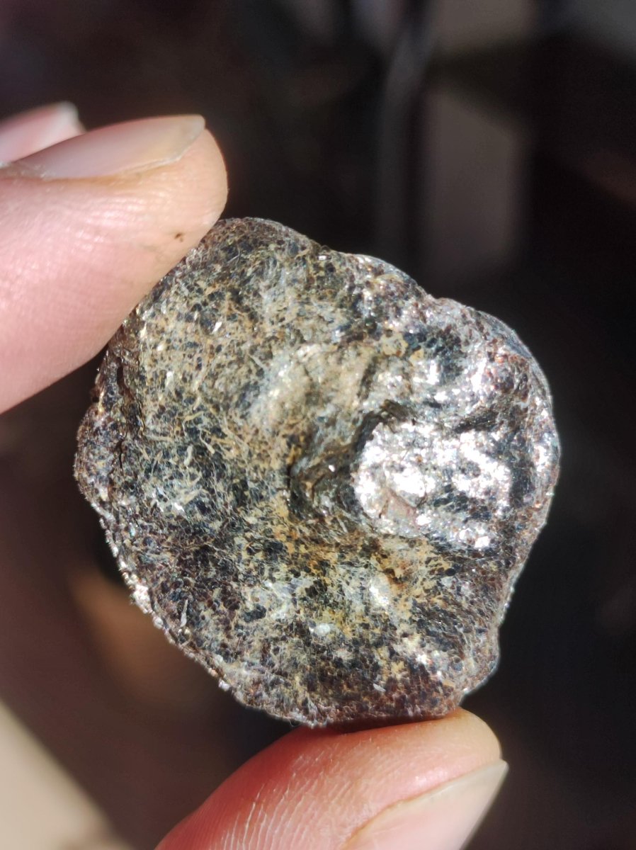 Biotit Linse - Deko Heilstein Edelstein braun schimmer Natur Geschenk Er Sie Mann Frau Freund Rarität Kraft Energie Kraft Chakra Rarität - Art of Nature Berlin