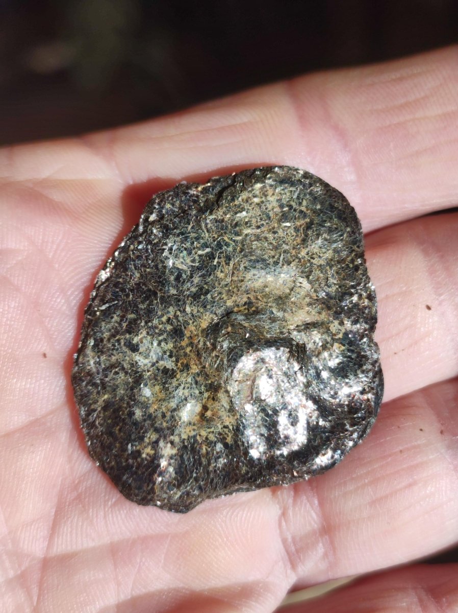 Biotit Linse - Deko Heilstein Edelstein braun schimmer Natur Geschenk Er Sie Mann Frau Freund Rarität Kraft Energie Kraft Chakra Rarität - Art of Nature Berlin