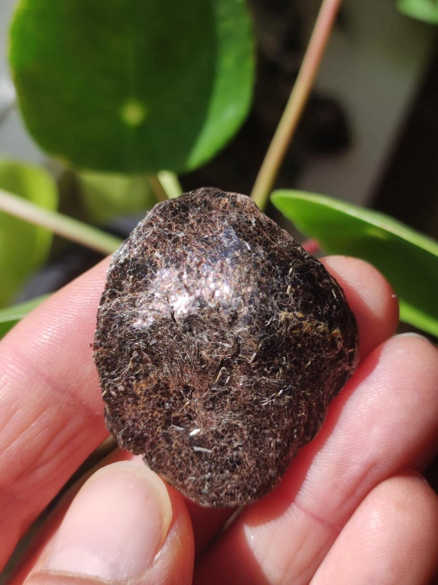 Biotit Linse - Deko Heilstein Edelstein braun schimmer Natur Geschenk Er Sie Mann Frau Freund Rarität Kraft Energie Kraft Chakra Rarität - Art of Nature Berlin