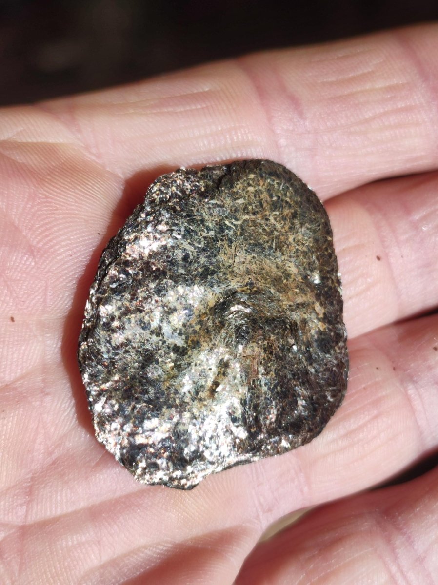 Biotit Linse - Deko Heilstein Edelstein braun schimmer Natur Geschenk Er Sie Mann Frau Freund Rarität Kraft Energie Kraft Chakra Rarität - Art of Nature Berlin