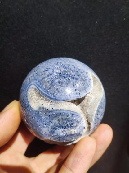Blaue Koralle *Rarität - Edelstein Kugel Deko Sphere Kristall Sammler Meditation Heilstein Frau Mann Geschenk Er Sie Haus Energie Unikat - Art of Nature Berlin