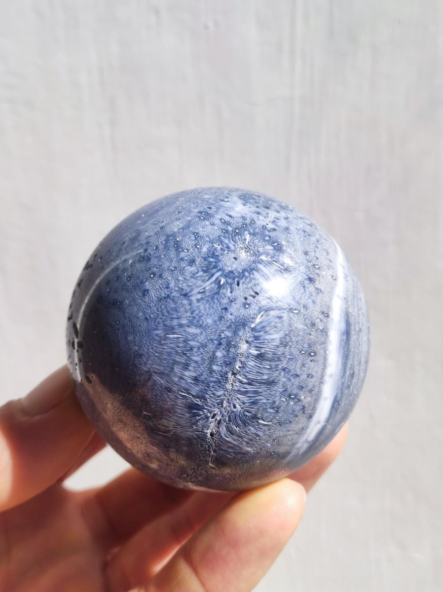 Blaue Koralle *Rarität - Edelstein Kugel Deko Sphere Kristall Sammler Meditation Heilstein Frau Mann Geschenk Er Sie Haus Energie Unikat - Art of Nature Berlin