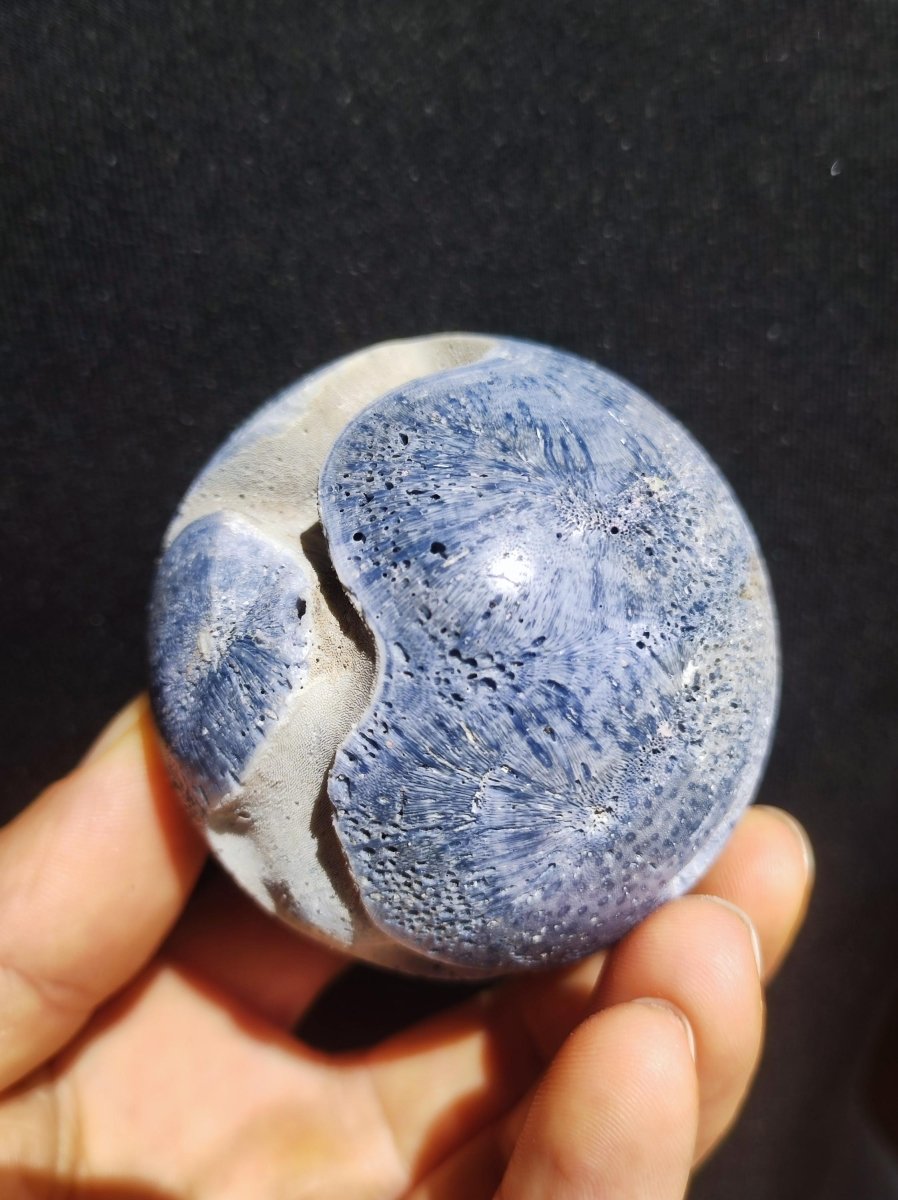 Blaue Koralle *Rarität - Edelstein Kugel Deko Sphere Kristall Sammler Meditation Heilstein Frau Mann Geschenk Er Sie Haus Energie Unikat - Art of Nature Berlin